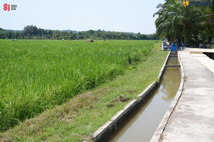 Kucurkan Rp 107,28 Miliar, Kementerian PU Rehabilitasi 429 Km Jaringan Irigasi di Riau
