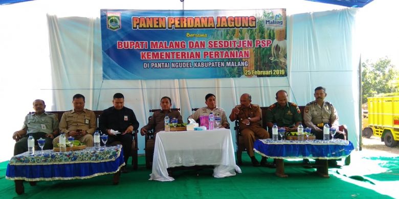 Panen perdana jagung di Desa Sindurejo, Malang, Jawa Timur, Senin (25/2/2019) lalu.