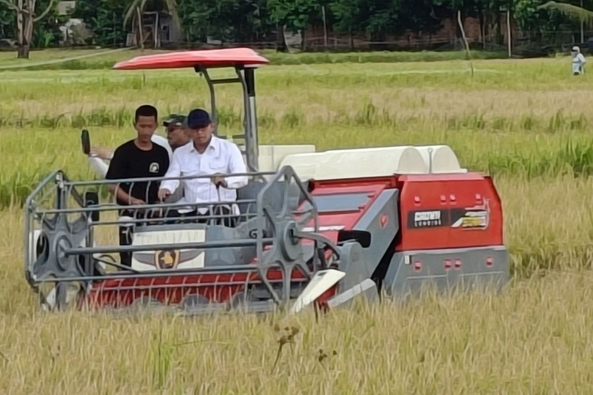 Wamentan Sudaryono Sorot Serapan Gabah di Sumsel Anjlok dan Terendah di Indonesia