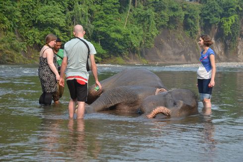 Itinerary 4 Hari 3 Malam di Langkat, Bisa Wisata Religi hingga Bertemu Gajah dan Orangutan