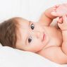 32 Inspirasi Nama Bayi yang Berarti 'Serigala'