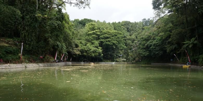 Wana Wisata Rowo Bayu yang ada di Bayu, Kecamatan Songgon, Banyuwangi.