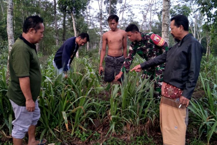 Warga menunjuk lokasi penemuan bayi di lahan rumput kolonjono Desa Maliran, Kecamatan Ponggok, Kabupaten Blitar, Minggu (31/12/2023)