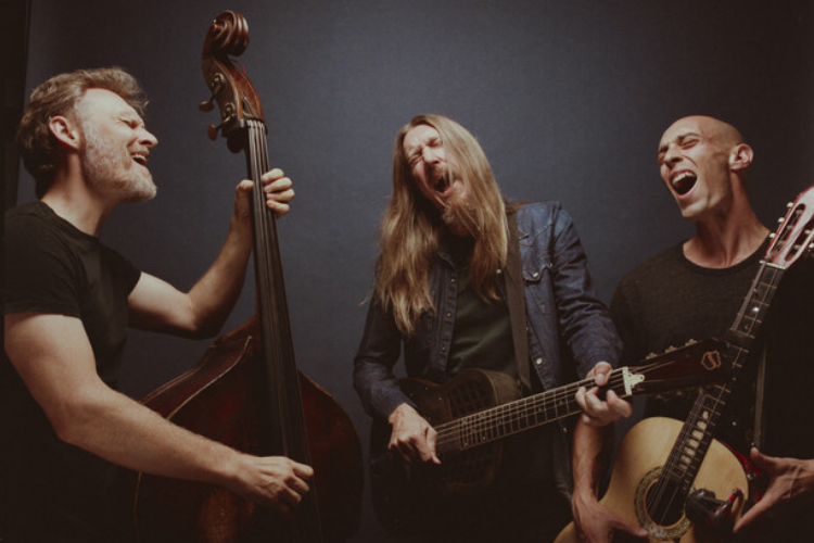 The Wood Brothers