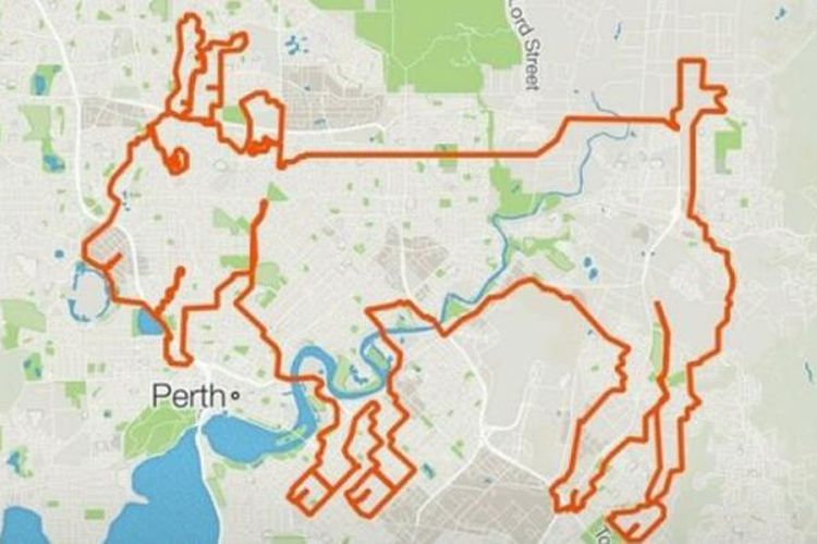  Aplikasi Strava yang menunjukkan jalur bersepeda berbentuk kambing di Kota Perth.


