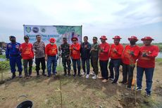 Komunitas Innova Tanam 2.000 Mangrove di Pantai Indramayu