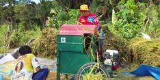 Pertama dalam 60 Tahun, Dusun Saluseba di Luwu Utara Mandiri Pangan