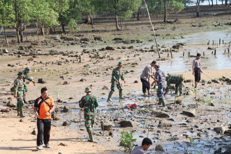 Satpolairud Polres Karimun menanam lebih dari 1.000 mangrove untuk mencegah lingkunga, Sabtu (10/6/2023).