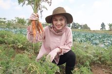 9 Manfaat Berkebun seperti yang Dilakukan Melody Eks JKT48