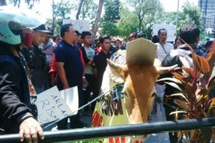 Warga bawa sapi untuk didaftarkan pasangan cawali dan Cawawali Surabaya.