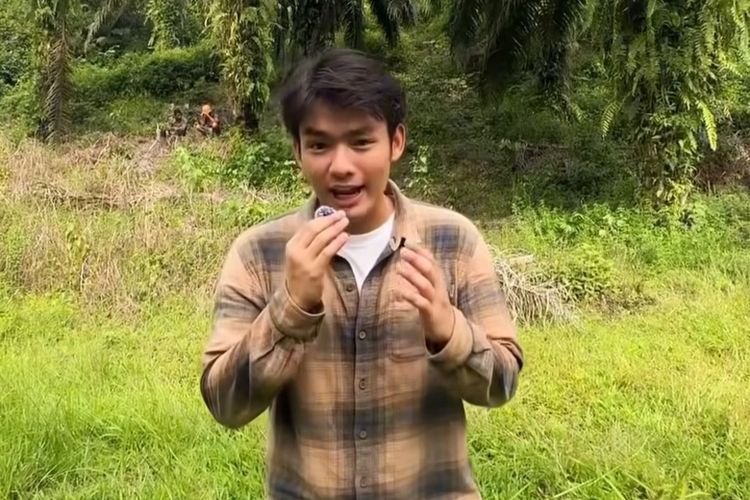 Jeremy Owen Bersiap Ubah Lahan Sawit Ilegal Kembali Jadi Hutan