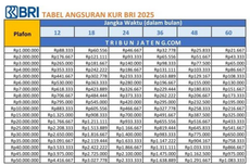 Bareskrim Temukan 3 Alat Berat Terkait Kayu Gelondongan di Garoga-Anggoli