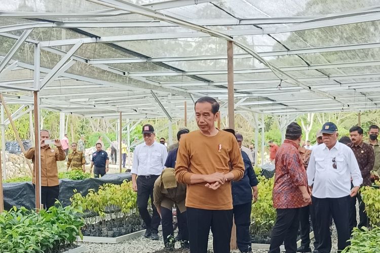 Presiden Joko Widodo saat meninjau Persemaian Mentawir yang ada di kawasan IKN, Kalimantan Timur, Kamis (23/2/2023).