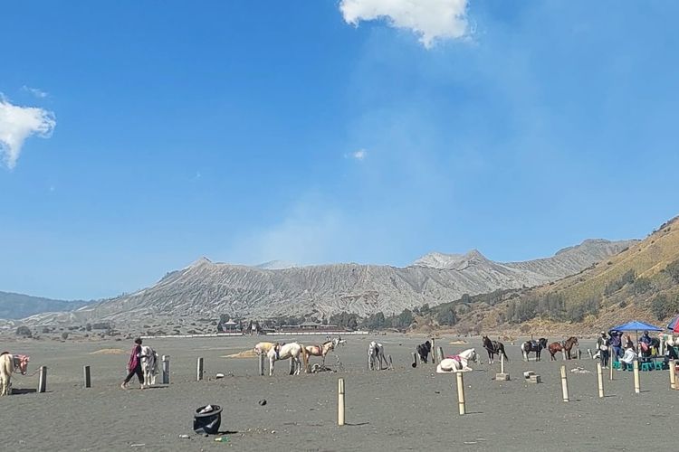 Hari Pertama Dibuka Pasca-kebakaran, Wisata Bromo Dikunjungi 1.086 Wisatawan