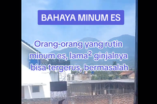 Rutin Minum Es Saat Makan Disebut Picu Kerusakan Ginjal, Benarkah? Ini Penjelasan Dokter