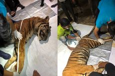 Libur Natal 2025 Mulai Tanggal Berapa? Cek Lagi Jadwalnya