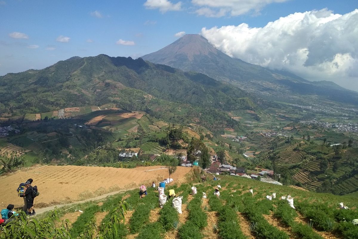 Pemandangan di jalur pendakian Gunung Prau via Igirmranak, Wonosobo, Jawa Tengah.