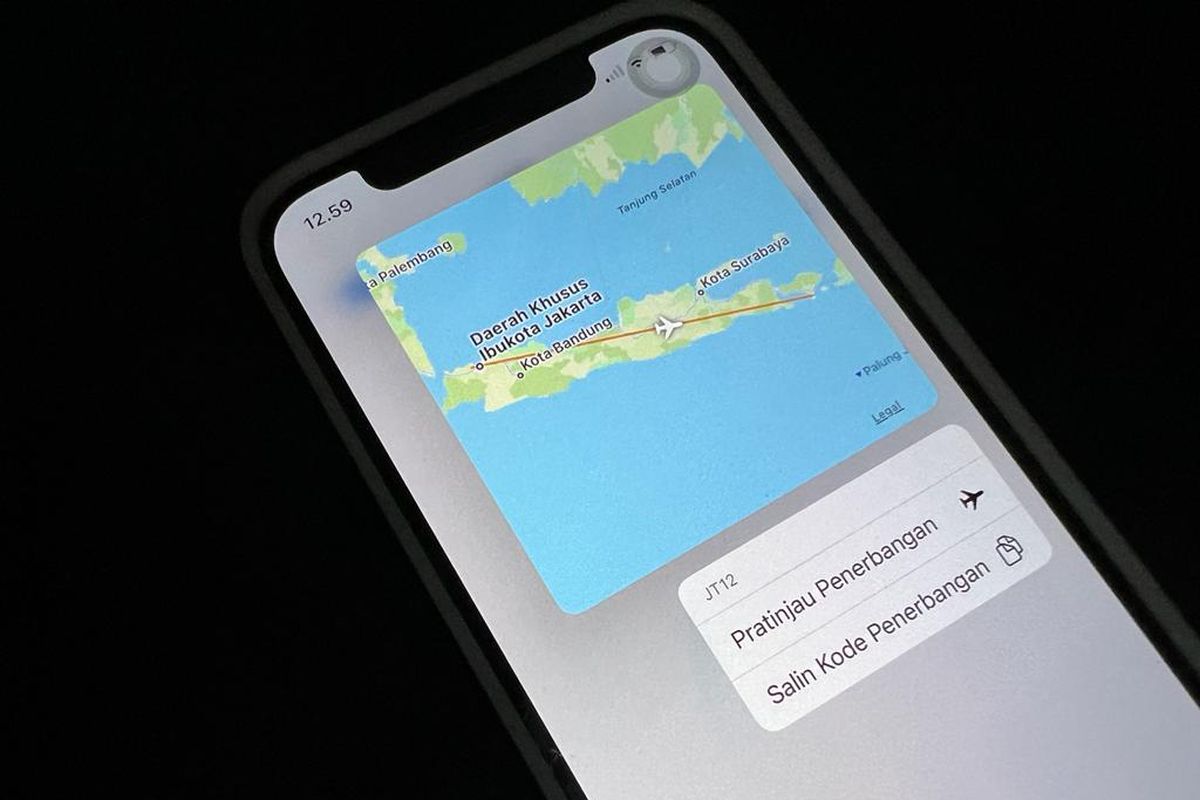 Cek status penerbangan pesawat di iPhone tanpa aplikasi tambahan.
