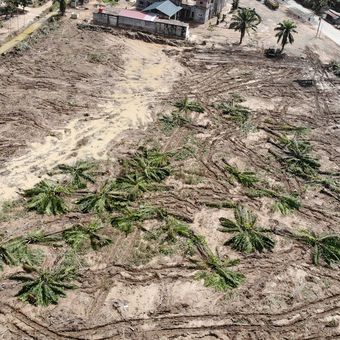 Foto udara, lahan yang telah dibersihkan untuk pembangunan hunian sementara bagi korban bencana banjir bandang di Karang Baru, Aceh Tamiang, Aceh, Sabtu (20/12/2025). Pemerintah mempersiapkan lahan milik Pemkab Aceh Tamiang dan lahan perkebunan perusahaan untuk dibangun tempat hunian sementara korban bencana banjir bandang. 