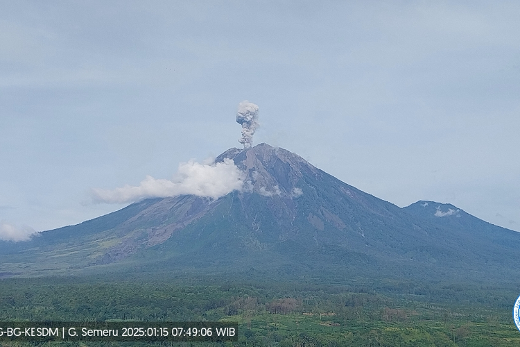 Visual erupsi Gunung Semeru berupa letusan setinggi 900 meter, Rabu (15/1/2025).
