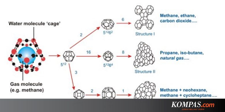 Berdasarkan Data Tersebut Senyawa Yang Bersifat Paling  