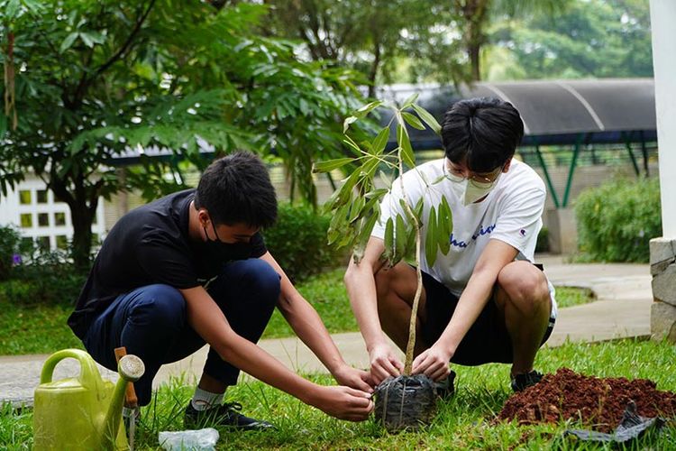 Siswa SWA melakukan kegiatan menanam pohon dalam program SA dan CAS.