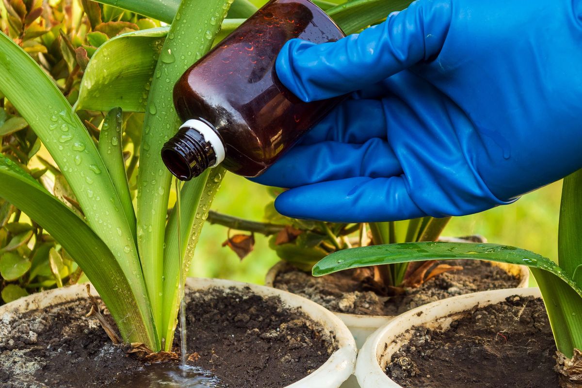 Ilustrasi pupuk cair.