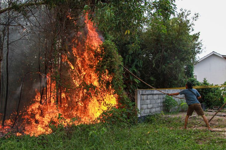 Mengapa Hutan yang Masih Utuh di Kalimantan Minim Titik Api?