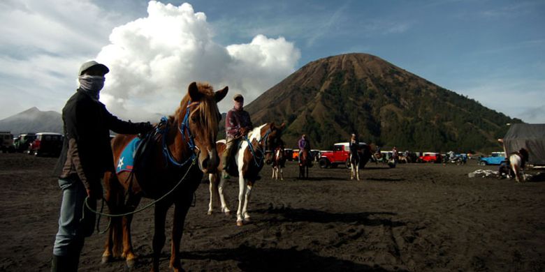 Sejumlah jasa sewa kuda berada di lautan pasir Gunung Bromo, Probolinggo, Jawa Timur, Kamis (8/11/2018). Lautan pasir seluas 5,920 hektar (sekitar 10 km persegi) membentang mengelilingi Gunung Bromo, Gunung Batok , Gunung Widodaren, Gunung Kursi dan Gunung Watangan, berada pada ketinggian 2100 m dpl tersebut merupkan salah satu tempat wisata yang digemari wisatawan dari luarkota maupun mancanegara.