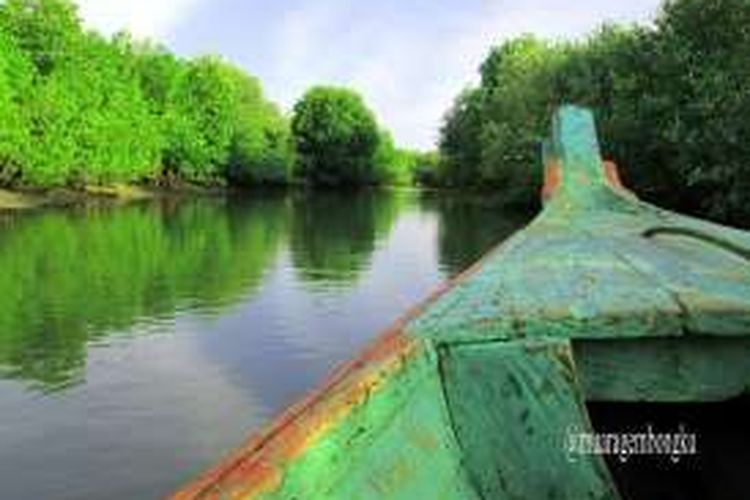 Jangan salah, Bekasi ternyata menyuguhkan pemandangan hijau hutan mangrove, tepatnya di kawasan Kampung Muara Belacan Desa Pantai Harapan Jaya, Kabupaten Bekasi Utara.