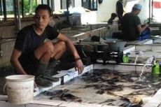 Gagal Panen, Pasokan Ikan Air Tawar di Pasar Tradisional Cianjur Menurun
