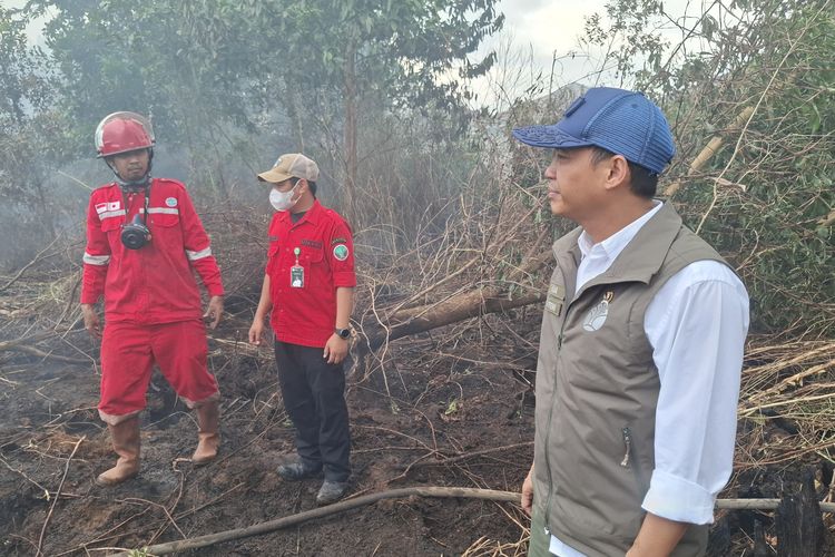 Tinjau Karhutla di Banjarbaru, Menhut Raja Juli Sebut Titik Kebakaran Kembali Meluas
