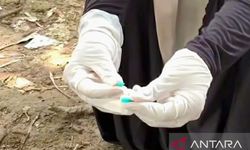 Tumpukan Limbah Medis B3 Ditemukan di Area Permukiman Karawang