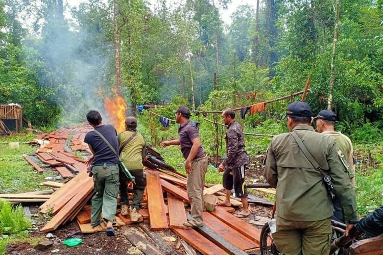 Tim BBKSDA Riau saat membakar pondok dan kayu olahan pelaku pembalak liar di SM Giam Siak Kecil, Kabupaten Bengkalis, Riau, Rabu (11/3/2020).