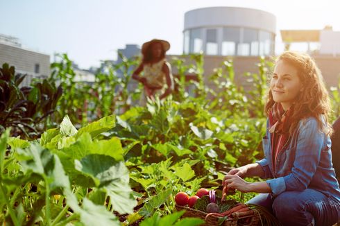 Bukan Sekadar Hobi, Ini 9 Manfaat Rooftop Garden