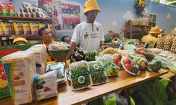 Cerita 2 Petani Milenial yang Sukses Raup Omzet Fantastis dari Berjualan Sayur hingga Kopi
