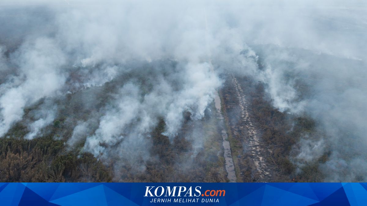Tanpa Ulah Manusia, Gambut Sejatinya Tidak Mudah Terbakar