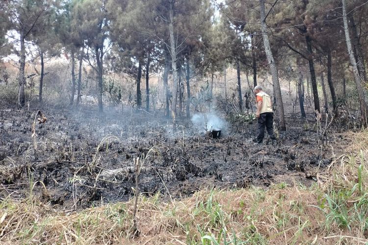 Petugas BPBD Kabupaten Madiun memantau lokasi kawasan hutan di lereng Gunung Wilis yang terbakar sejak Sabtu (14/10/2023). 
