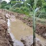 Warga Manggarai NTT Tanam Pohon Pisang di Jalan Rusak karena Kecewa pada Pemerintah