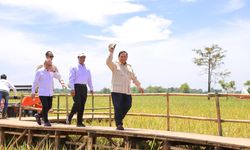 Survei Indikator: Mentan Andi Amran Puncaki Daftar Menteri Berkinerja Terbaik