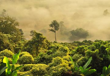 Pupuk Kaltim Bantu Pemulihan Ekosistem dan Konservasi Keanekaragaman Hayati di Taman Nasional Kutai