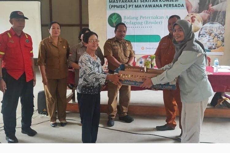 PT Mayawana Persada membagikan 300 ekor bibit ayam pedaging kepada 3 kelompok tani di aula Kantor Desa Kualan Hilir, Simpang Hulu, Ketapang, Kalimantan Barat.