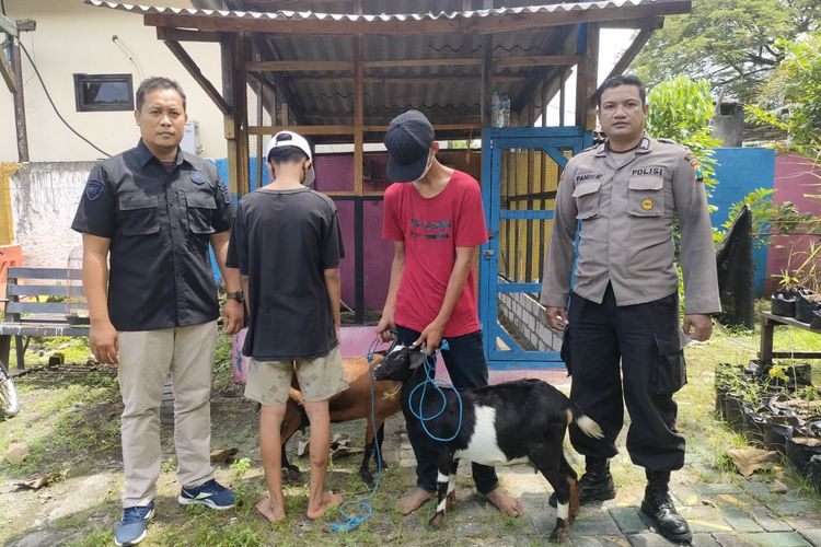 Dua pelaku pencurian kambing berikut barang bukti, saat diamankan jajaran Polsek Duduksampeyan, Gresik, Jawa Timur, Rabu (12/4/2023).