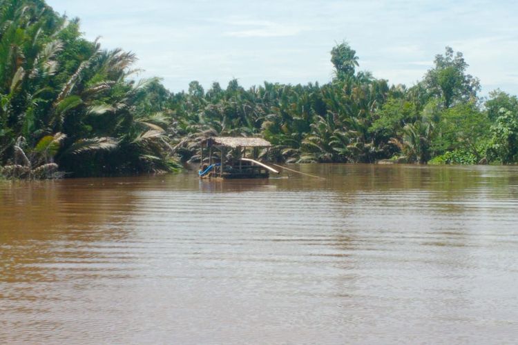 Sungai Wasan di Seimanggaris Nunukan Kaltara. Di perairan ini, seorang penambang pasir Faisal (50) tewas akibat serangan buaya