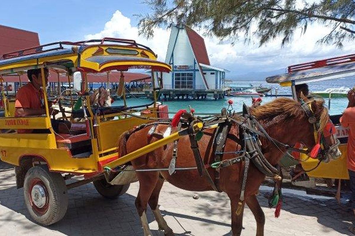 Cidomo adalah alat transportasi di Gili Trawangan dan sedang terparkir di depan pelabuhan Gili Trawangan menunggu tamu yang turun dari speed boat, Selasa (25/10/2022).
