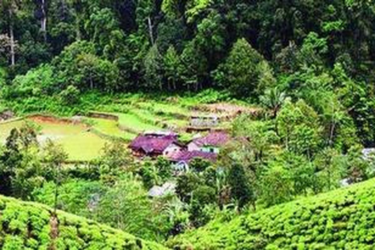 Kampung Citalahab Sentral yang berada di tengah kawasan Taman Nasional Gunung Halimun-Salak.