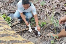 4 Hari Hilang, Kakek 77 Tahun di Seram Barat Maluku Ditemukan Tewas di Hutan