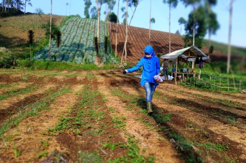 SEAMAO BIOTROP: SMK akan Jadi Ujung Tombak Pengembangan Pertanian Indonesia