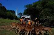 Rute Menuju Obyek Wisata Jbound Geo Edu Park Bogor