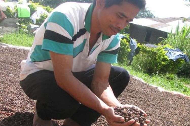 Kopi Manggarai Barat, Nusa Tenggara Timur.